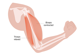 How to place the electrode efficiently?
